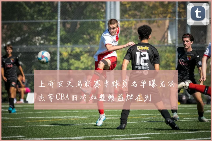 上海玄天鸟新赛季球员名单曝光汤杰等CBA旧将加盟赖益烨在列
